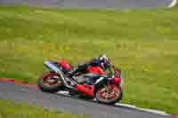 Lower Group Red Bikes